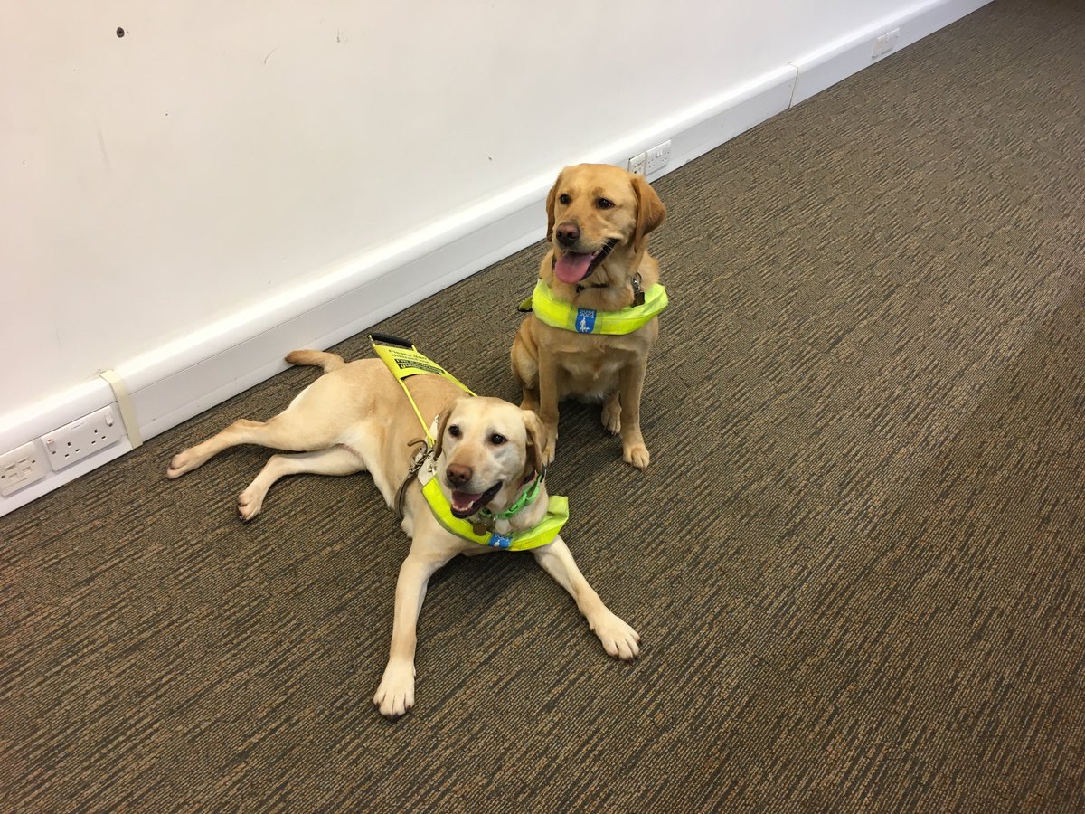 GdLassie's tweet photo. had huge fun talking to the @RoyalHolloway #disabled #student #collective last night. met my colleague Lucy who helps one of the students. Shared experience of how I changed mum's #life, #access #refusals and #disabledcompliments and how to deal wti them. https://t.co/skAjehVq0u