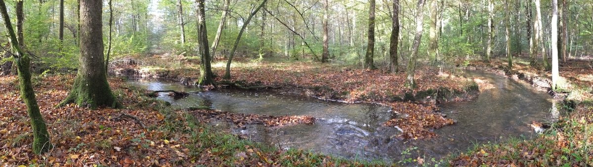 A fully-funded PhD position to model the dynamics of CPOM and GHGs in river networks prone to flow intermittence and damming is open at the EcoFlowS lab, Lyon, France. More here: ecoflows.inrae.fr/wp-content/upl…. @tdatry, @smirescost, @EcoFlowS, @inrae, @1000IRP