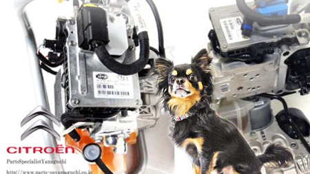 シトロエンc4ピカソ シトロエンc4ピカソ