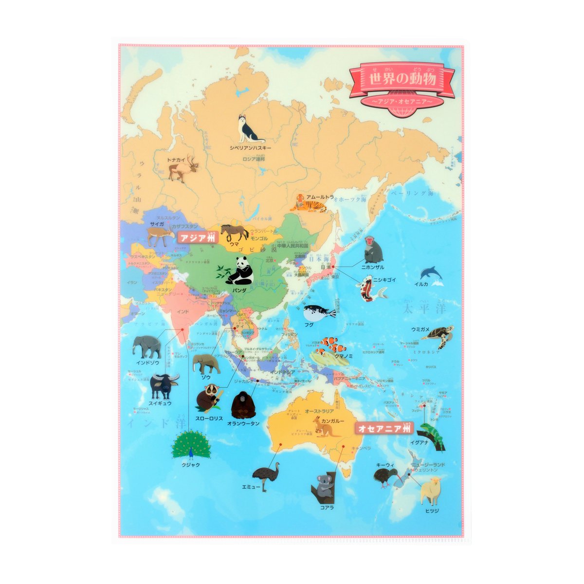 東京カートグラフィック 世界の動物のかわいいイラストが載っている本格的な世界地図クリアファイルを販売しています ヨーロッパ アフリカ アジア オセアニア 南北アメリカ ヨーロッパ 拡大 の4枚セットです T Co Un3ou6auex 他にも名所