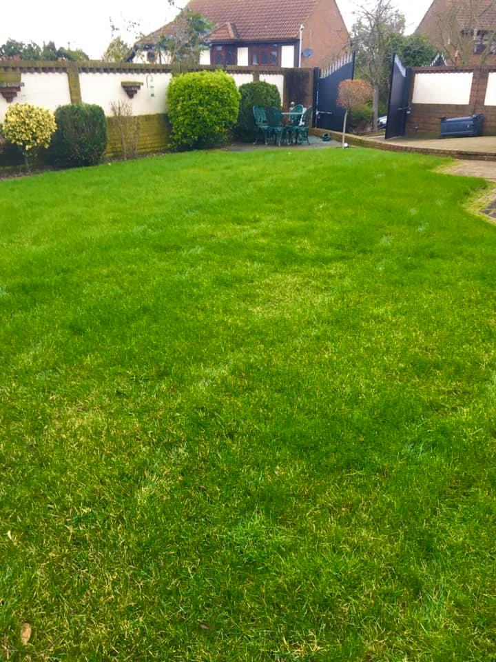 Now, this is what you call a lush, green lawn! 🌿

Great work Greensleeves South East London &amp; Kent 👏

Be the envy of your neighbours and let Greensleeves work our magic on your lawn! 🌿

Contact us today for your free, no-obligation quote 😃

bit.ly/2CF3UJU

#lawncare