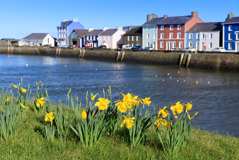 Wyddoch chi mai parêd Gŵyl Dewi tref #Aberaeron yw’r hynaf yng Nghymru?  🏴󠁧󠁢󠁷󠁬󠁳󠁿
Ymunwch â’r parêd dydd Llun, 2 Mawrth am 09:30.

Parêd #Tregaron dydd Gwener, 28 Chwefror am 14:00
Parêd #Llambed dydd Sadwrn, 29 Chwefror am 11:00