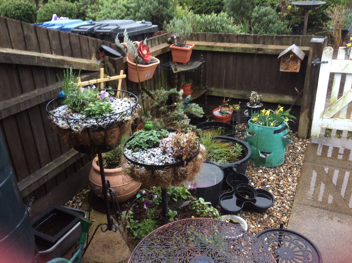 Kerion Hunt tweet media