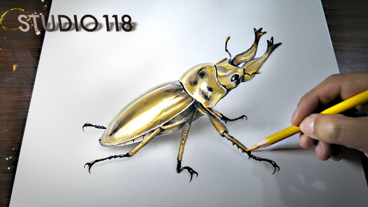 Drawing Studio 118 オウゴンオニクワガタ描きました 調べるとキレイな昆虫が多い事に驚きました いっぱい描きたい昆虫いるなぁ クワガタ オウゴンオニクワガタ イラスト イラスト好きさんと繋がりたい Illustration T Co P6iciiumjh