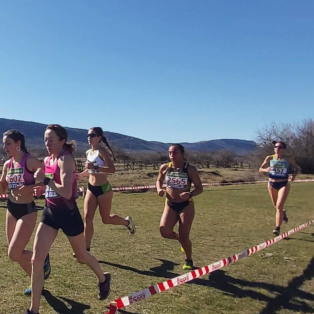 club_la_blanca's tweet photo. 📸Los mejores momentos del Campeonato de España de cross de clubes celebrado en Soria
#LaBlancaAtletismo
👇
https://t.co/0quvPqiovl https://t.co/3CkxDao4gi