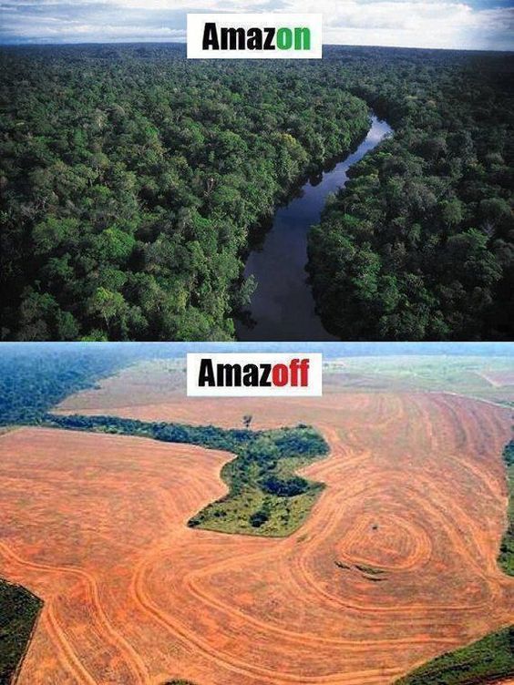 Let's not destroy our natural world, please.👍 🌲 🌍 💚 ✔️ ♻️ 
#ethical#vegan#childsafe#eco-friendly