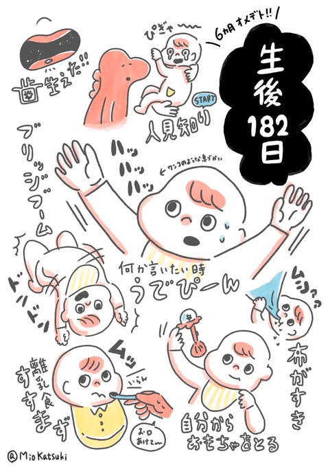 昨日でハーフバースデーでした??✨
描ききれなかったので続く…

#育児絵日記 