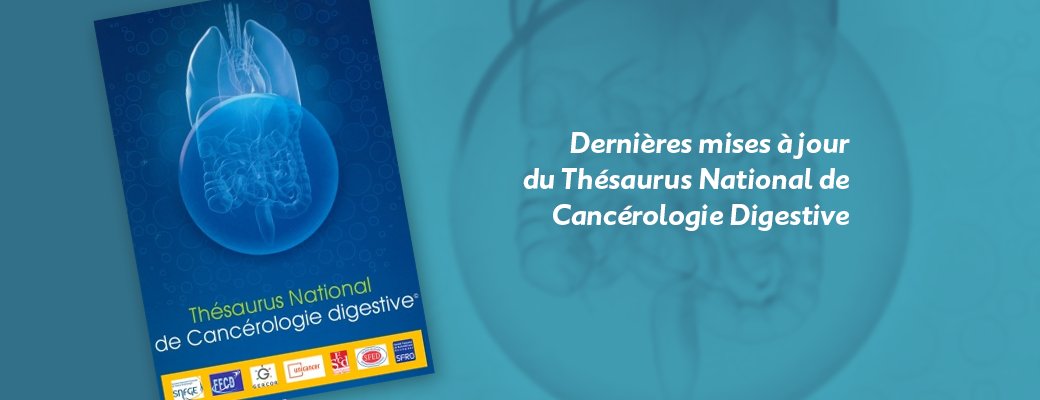 ONCORIF's tweet photo. Les chapitres sur les Cancers des voies biliaires et les Cancers du pancréas mis à jour dans le Thésaurus National de Cancérologie Digestive de la #SNFGE https://t.co/Ah9TqtVEIx #Cancer #TNCD https://t.co/vsSkSG8CsV