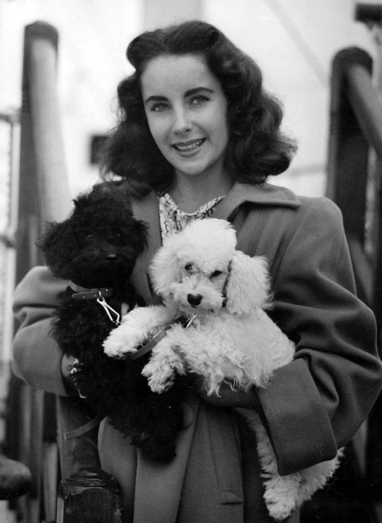 Happy Birthday Elizabeth Taylor! 