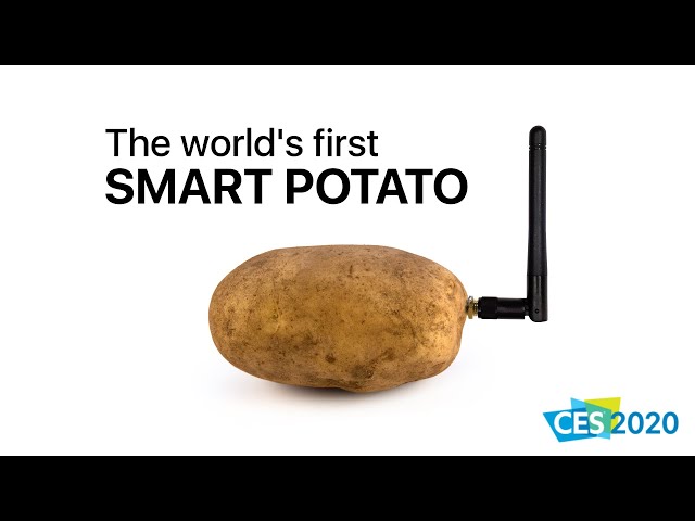 FleInstant's tweet image. #B1 #B2 
Discutez des dernières inventions loufoques et découvrez la #patate connectée « Potato », une #invention française ! Faites écoutez cette petite chronique remplie de vocabulaire à exploiter avec les #apprenants les plus avancés.
#FLE #profs 
instantfle.fr/patate-connect…
