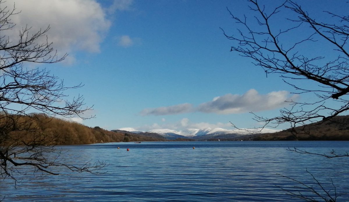 Sir Thomas Rich's Trips tweet media