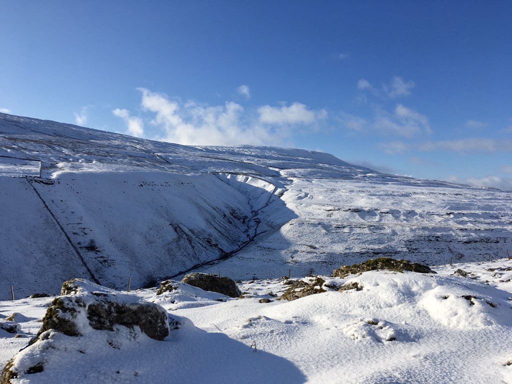 ParkBottom's tweet photo. Another winter wonderland #snow morning in #Littondale #YorkshireDales #stunning #Ronnie the #border #collie loves the #snow https://t.co/QLY2kEeU5T
