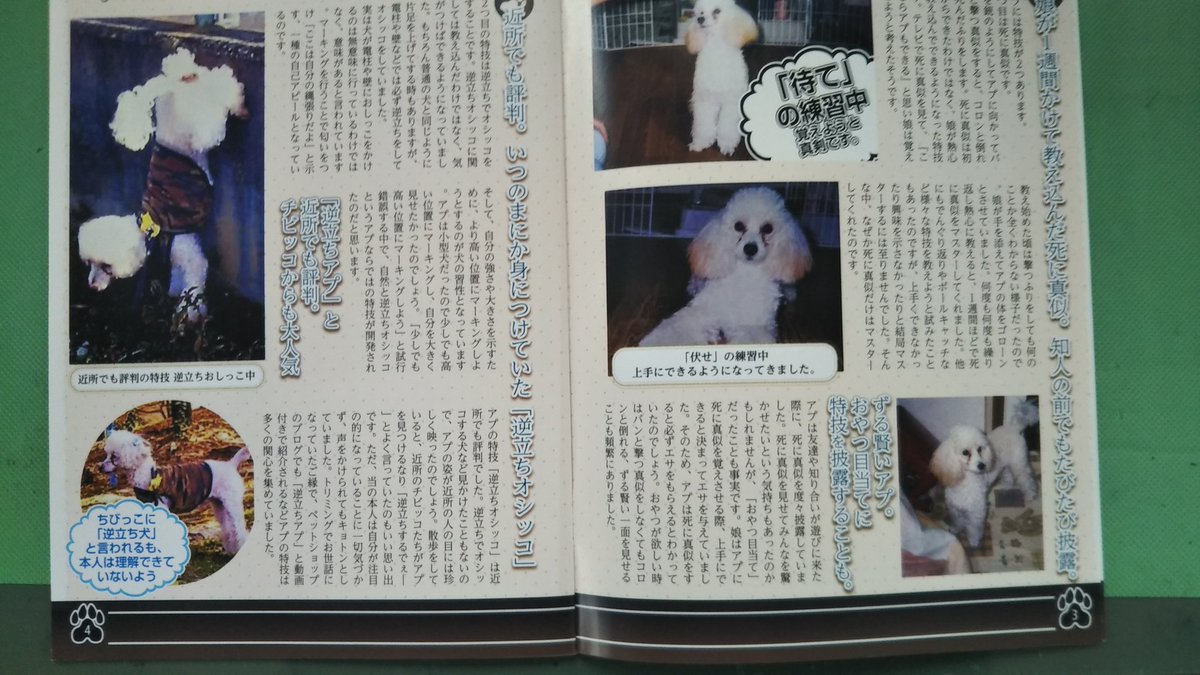 アプリ Yakahi 犬のいる暮らし 犬好きさんと繋がりたい ペットロス アプリ Yakahi 犬のいる暮らし 犬好きさんと繋がりたい ペットロス