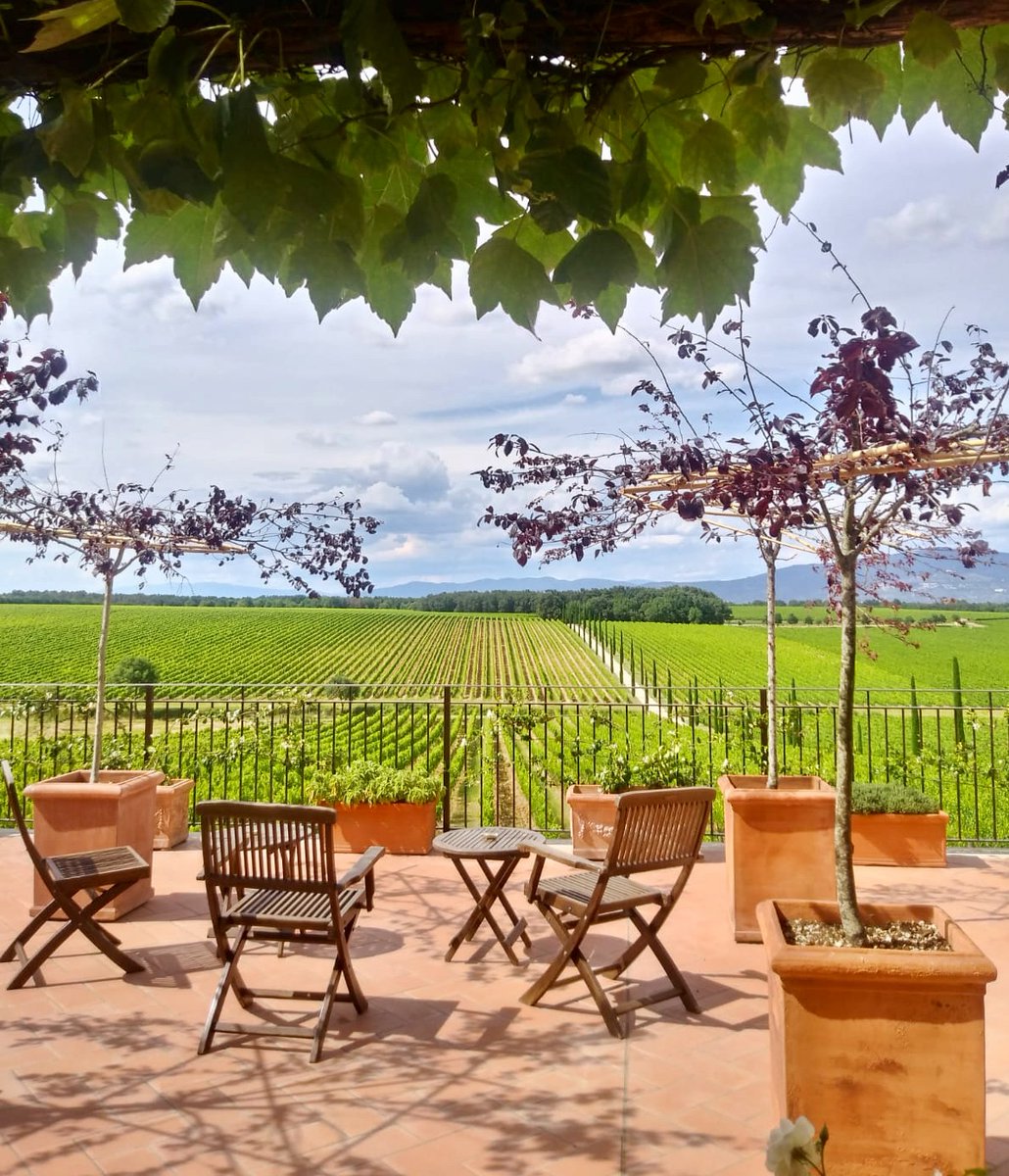Vivere la Toscana comprende sicuramente anche visitare una tenuta e degustare dell'ottimo vino, vi consigliamo la Braccesca!
. .
Living Tuscany certainly also includes visiting an estate and tasting excellent wine, we recommend Braccesca!
. .
#hotelitaliacortona #braccesca #wines