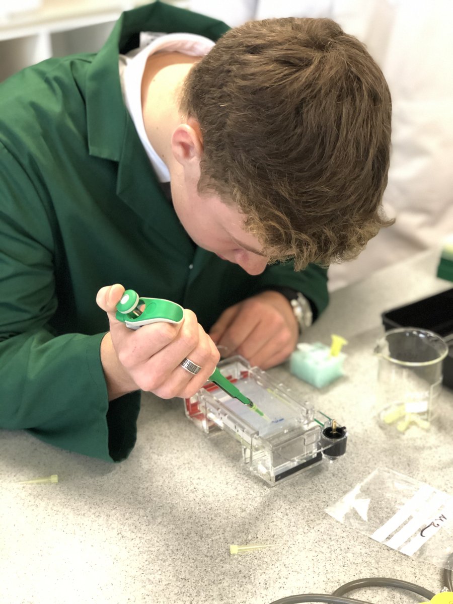 Looking forward to today's visit from Year 6 at Repton Primary School - identifying all manner of chemicals in the labs and extracting DNA!  Great to be able to share our enthusiasm for science. <a href="/ReptonPrimary/">Repton Primary School</a> <a href="/ReptonSchool/">Repton School</a> <a href="/HMC_Org/">HMC (The Heads' Conference)</a> <a href="/ISC_schools/">Independent Schools Council</a> #funafternoon