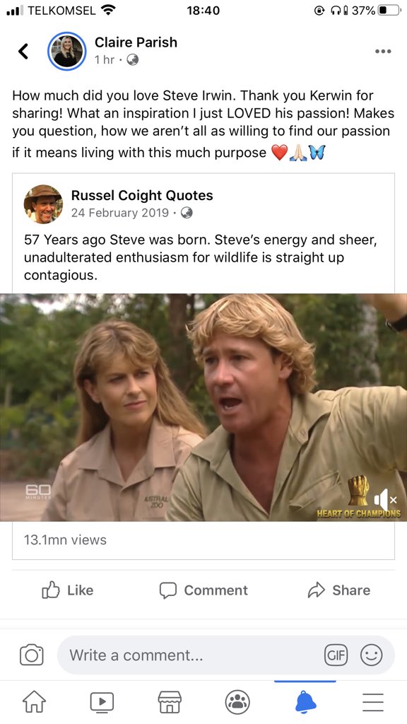 #steveirwin #legend
