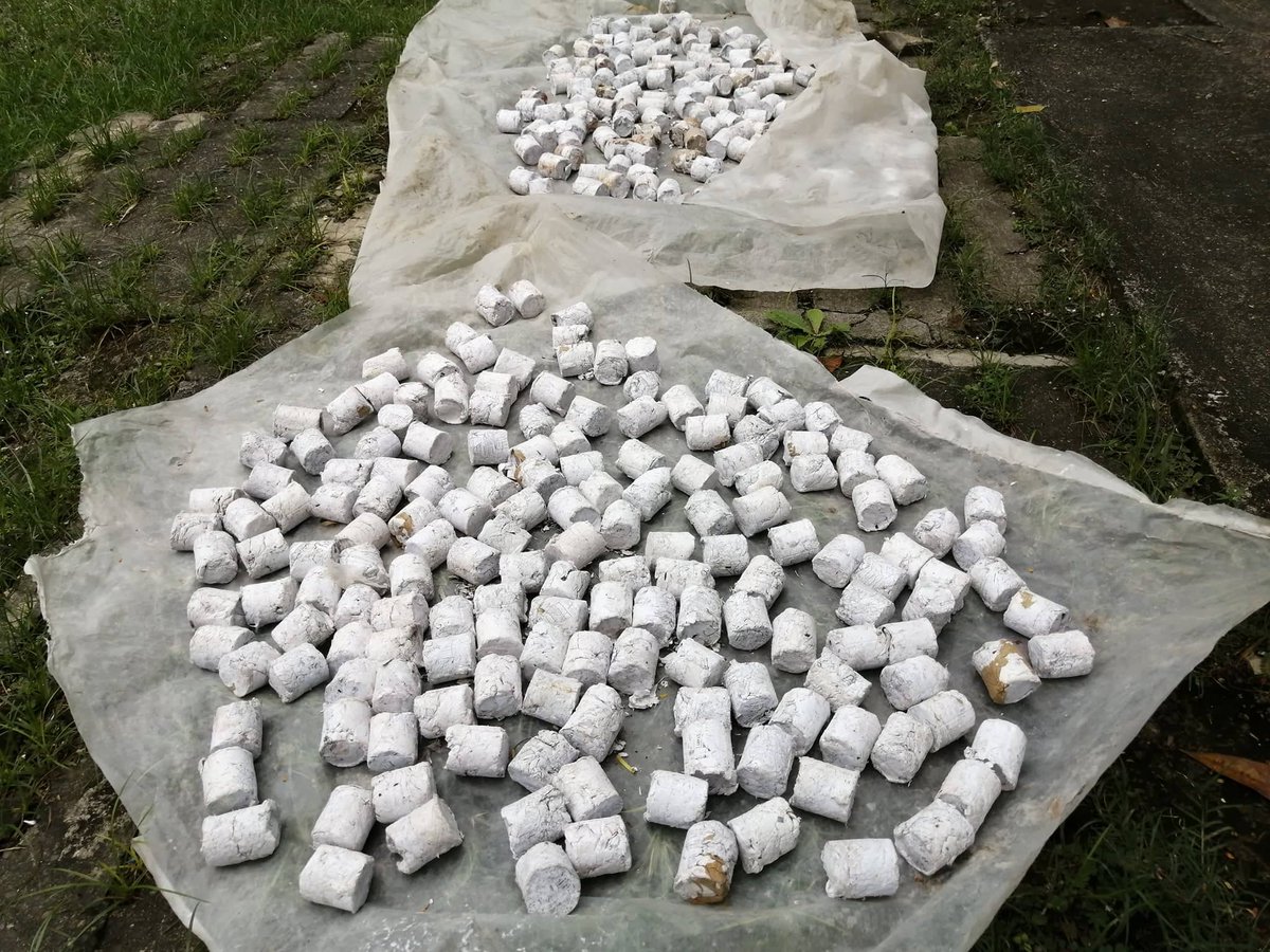 CleanerJoburg's tweet photo. Can you guess what this is? It’s a paper charcoal briquette!Discarded papers were compressed and molded into these briquettes. Did you know that you can cook a kilo of rice using only 12 pieces of these? #TrashToEnergy #Recycle #Gogreen @CityofJoburgZA @mphomoerane
#SaveOurPlanet https://t.co/IAfZBn9rX6