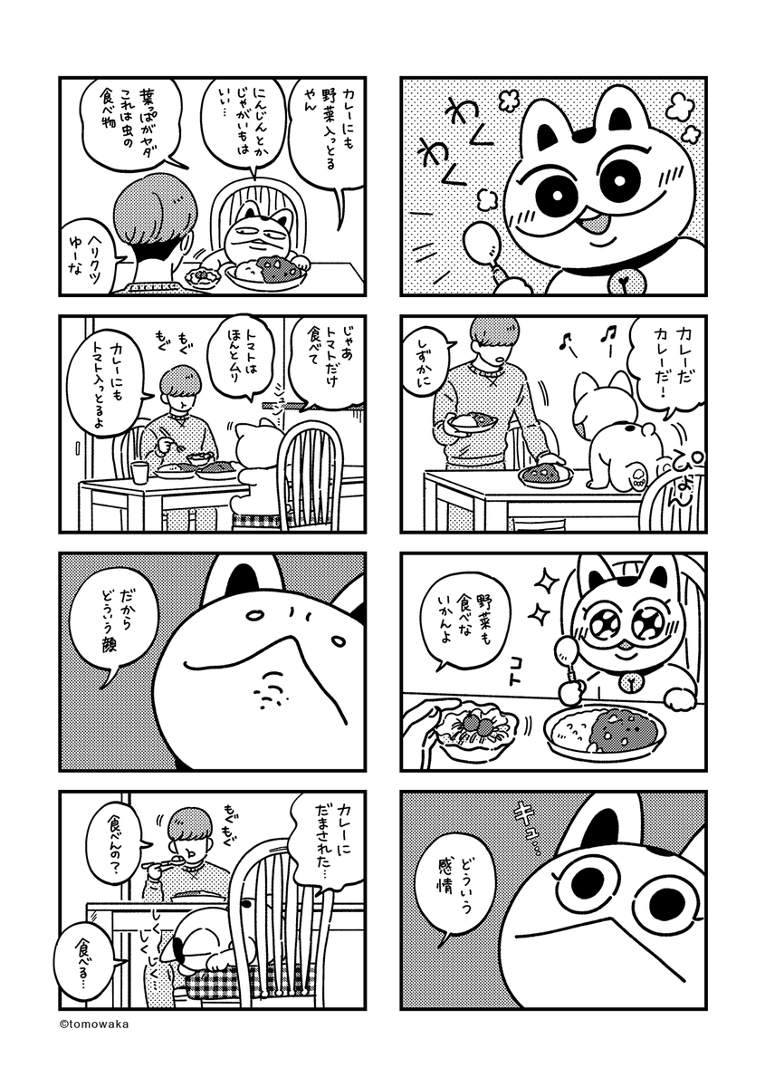 「カムカムはカレーが好き」
#猫のカムカム #tmwk漫画 #創作漫画 