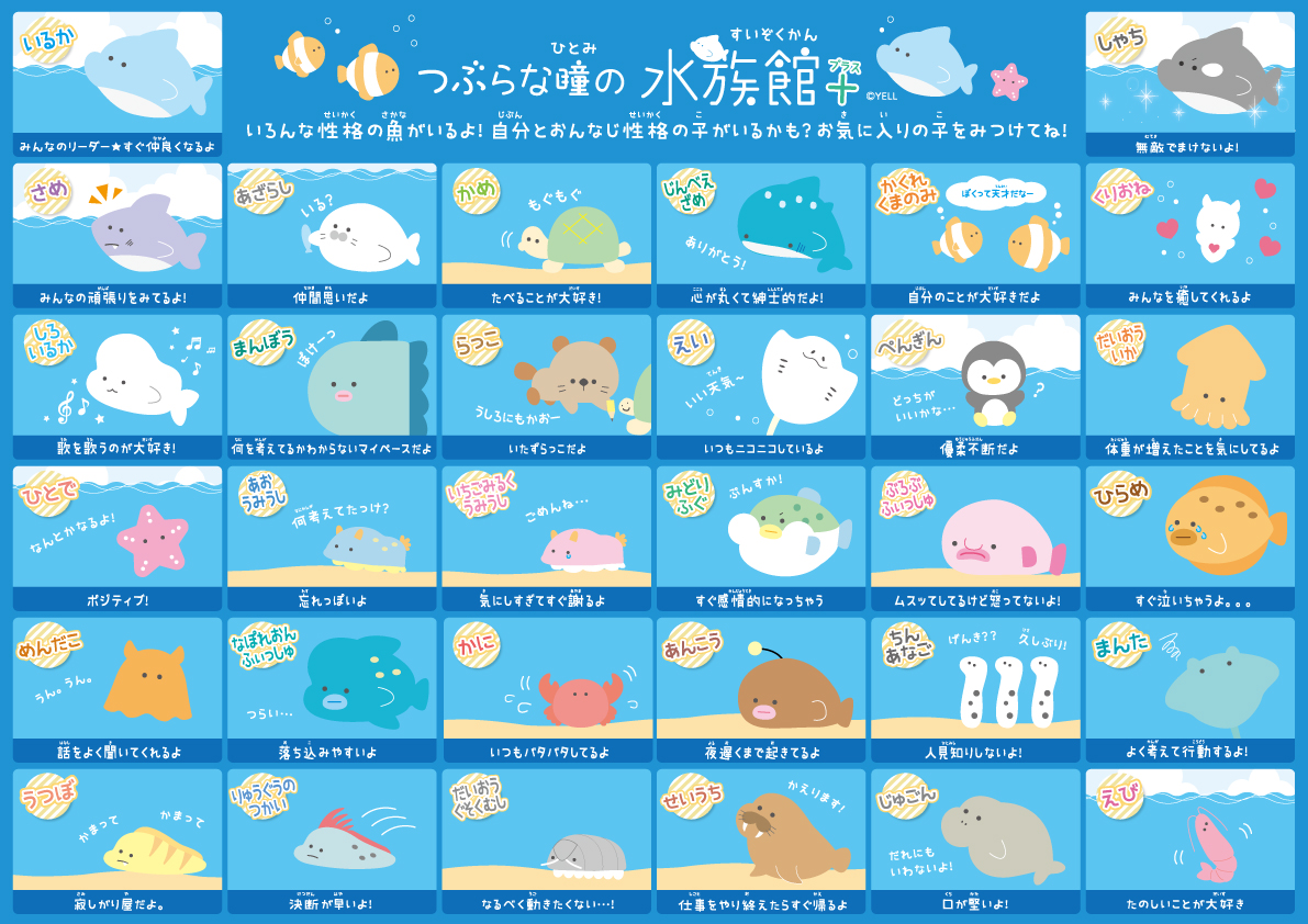 つぶらな瞳の水族館 公式 みんなどの子が好き つぶらな瞳の水族館 キャラクター 性格 つぶらな瞳の水族館 公式 みんなどの子が好き つぶらな瞳の水族館 キャラクター 性格