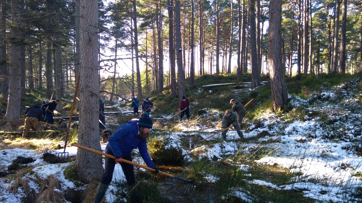 Carrbridge Nature tweet media