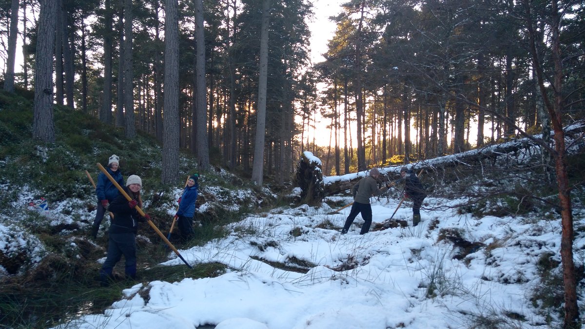 Carrbridge Nature tweet media