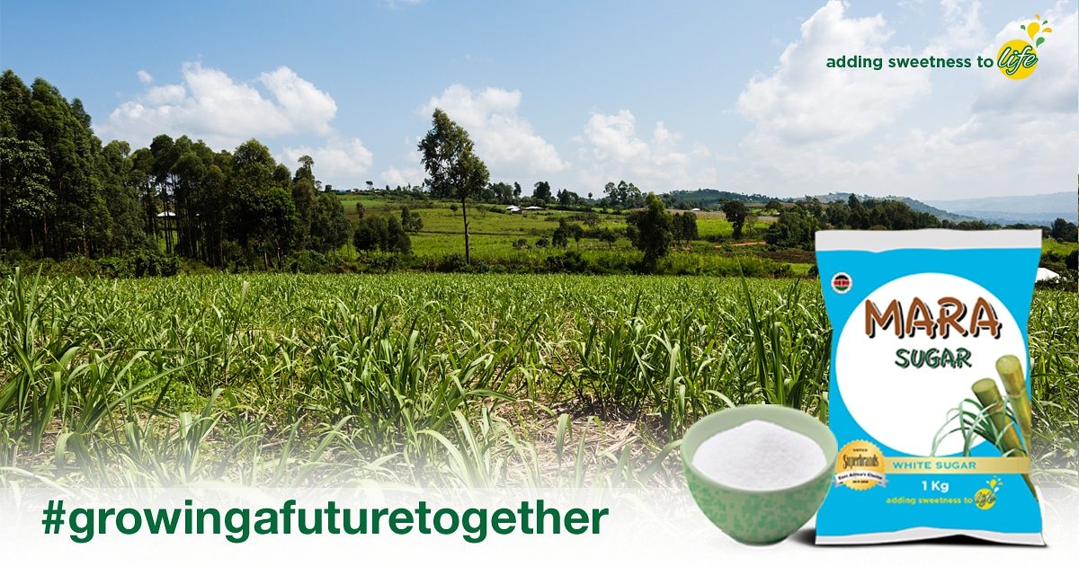 Sustainability is key 365 days a year! Our farming region benefits from high and reliable rainfall throughout the year thus enabling sustainable cane without irrigation. #growingafuturetogether
