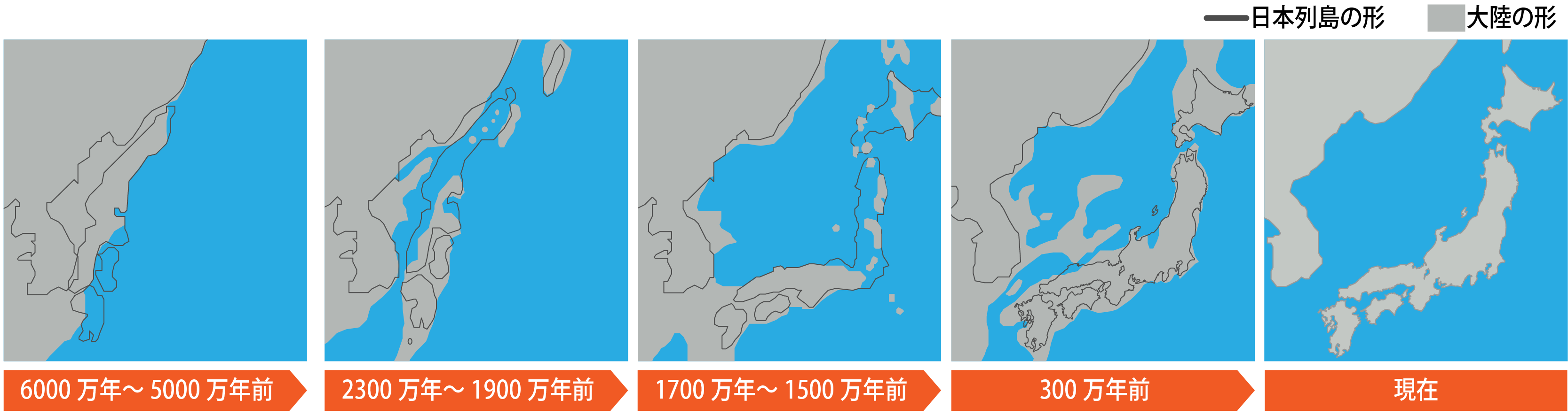 今いねぇ やけに植物に詳しい悟空 Geologist Nibi オラもこっそり答えてみたけんど 当たっててよかったぞ 図を見た感じだと 琵琶湖とかができたのもこの頃か 地球の歴史を考えんのはすげぇワクワクすんな Twitter