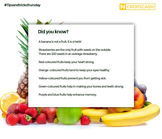 Crop2Cash's tweet image. #tipsandtricksthursday 💃💃💃🕺🕺

 #Crop2Cash 
#agriculture 
#farmersbank 
#agriculturalfacts