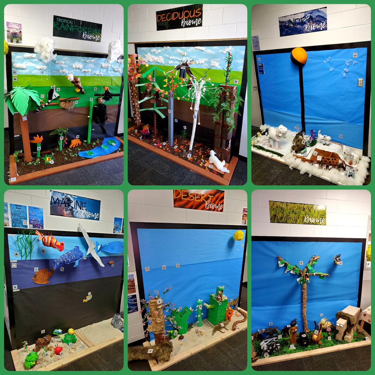 Impressive to see 120 students collaborate, design, and create with one common goal, transform our halls into interactive life size biomes!  <a href="/LHPclassroom/">LHPclassroom</a>