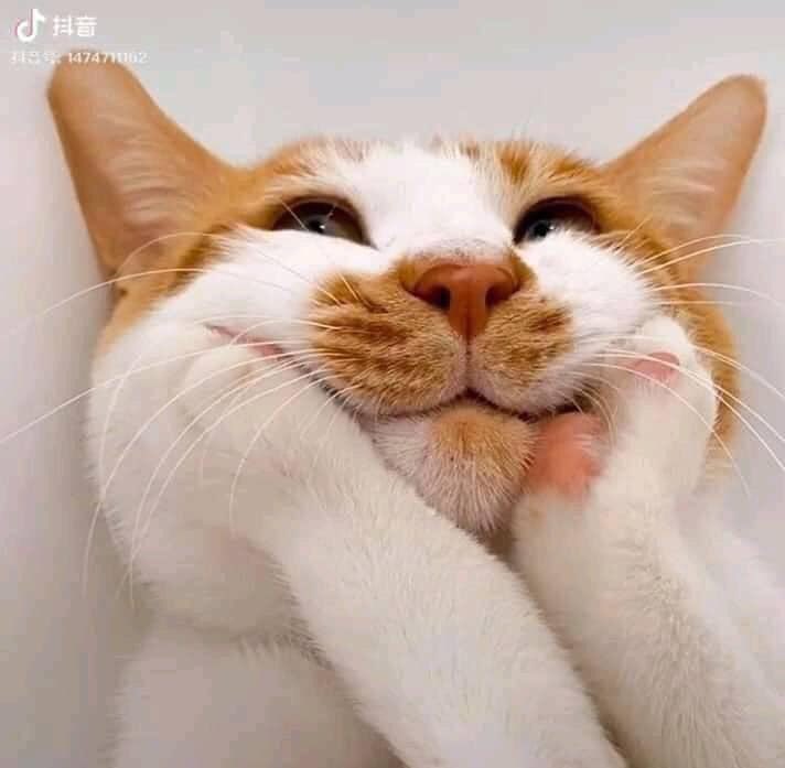 Mặt mũi to quá tự đi tạo trend rồi tự quy định giờ đi má
#20Kr_YTN_ApologizetoVN 
Ai rãnh đâu mà hầu? 
<a href="/YTN24/">YTN</a> 
Ps lần 2: mình xài twt xéo nem lựn