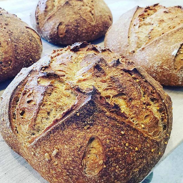 One In A Millet available today and tomorrow. A light boule spiked with millet, sunflower seeds, and molasses. Like all our breads it's naturally leavened (sourdough), made with organic grains,  and baked fresh daily. #organicgrains #naturallyleavened #communitysupported  #m…