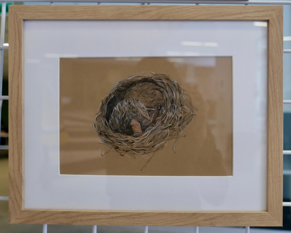 Tori_Banderob's tweet photo. Today @LaurentianU is the #SciArt exhibition! So many incredible artists have contributed—it's really amazing to see the creativity and talent at the intersection of science and art. I've displayed some pieces that were inspired by urban gardens and ravines in Toronto! #scicomm https://t.co/y4oijKqHXC