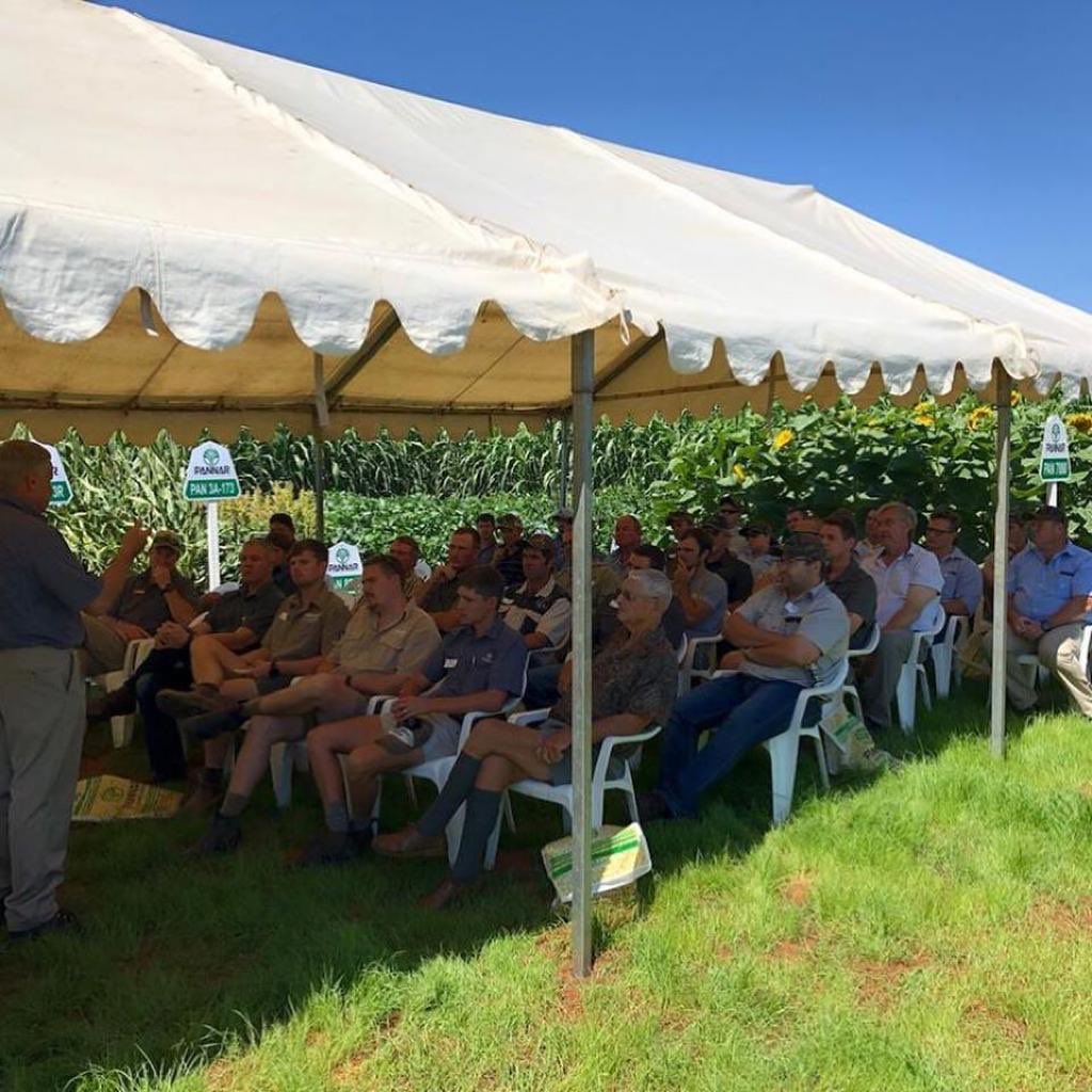 prabdeep_bajwa's tweet photo. At @CortevaAME seed brand - Pannar’s grower event #Extravaganza2020 Great to see growers’ expressing confidence in our products. Well done to @njbgoble @Pannar_Seed team! Also, thanks to our industry partners to be part of this event - @JohnDeereAfrica &amp; FNB. https://t.co/NreWOxpLTd
