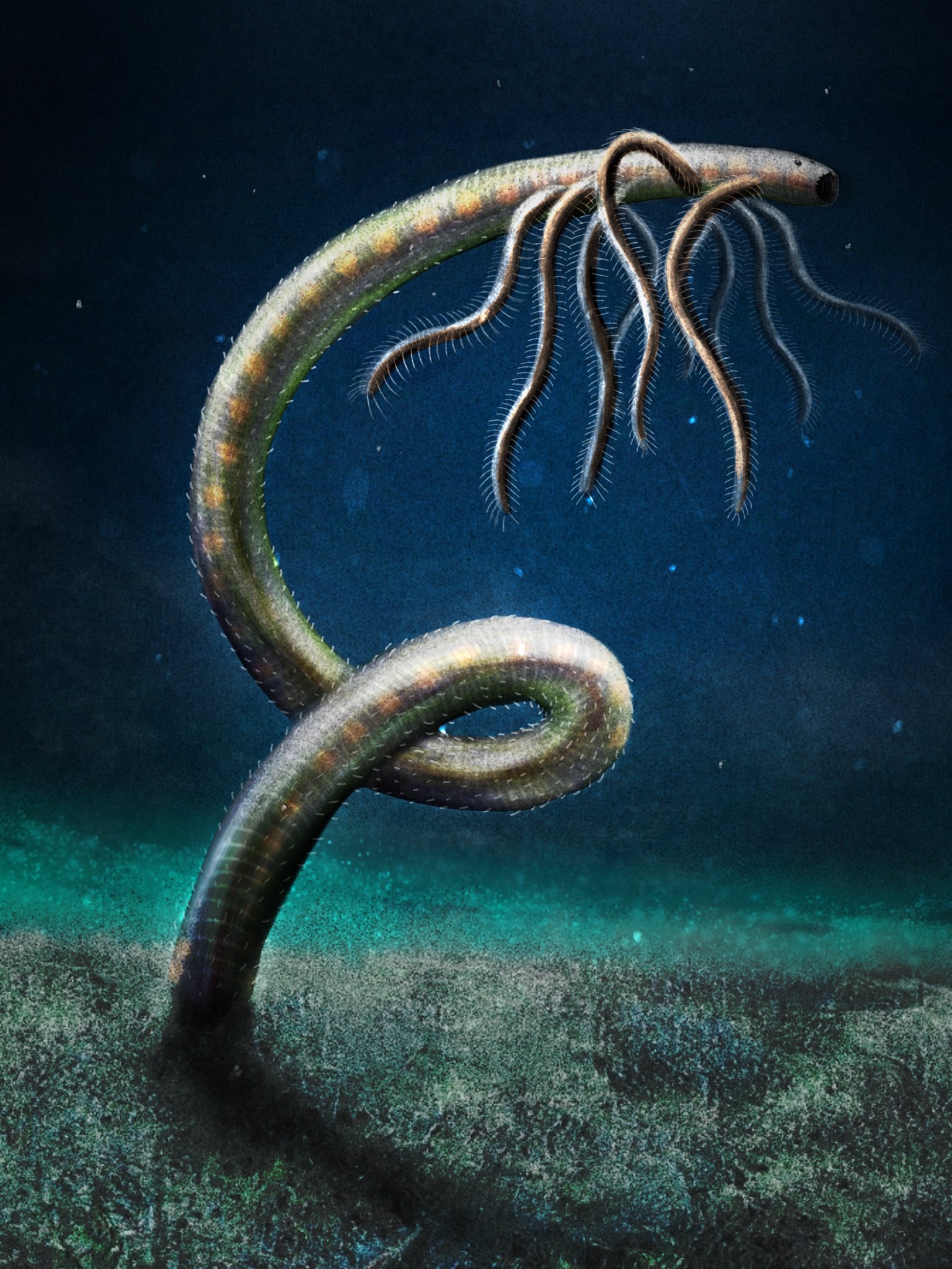 Prehistorica (Christian M.) on Twitter: Prehistorica (Christian M.) on Twitter: