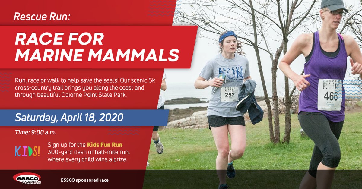 Esscolab's tweet image. Mark your calendars! Essco Calibration is a proud sponsor of the @SeacoastSciCtr's Rescue Run: Race for Marine Mammals 🏃‍♀️🏃‍♂️ happening on April 18, 2020! bit.ly/3cdXyAo