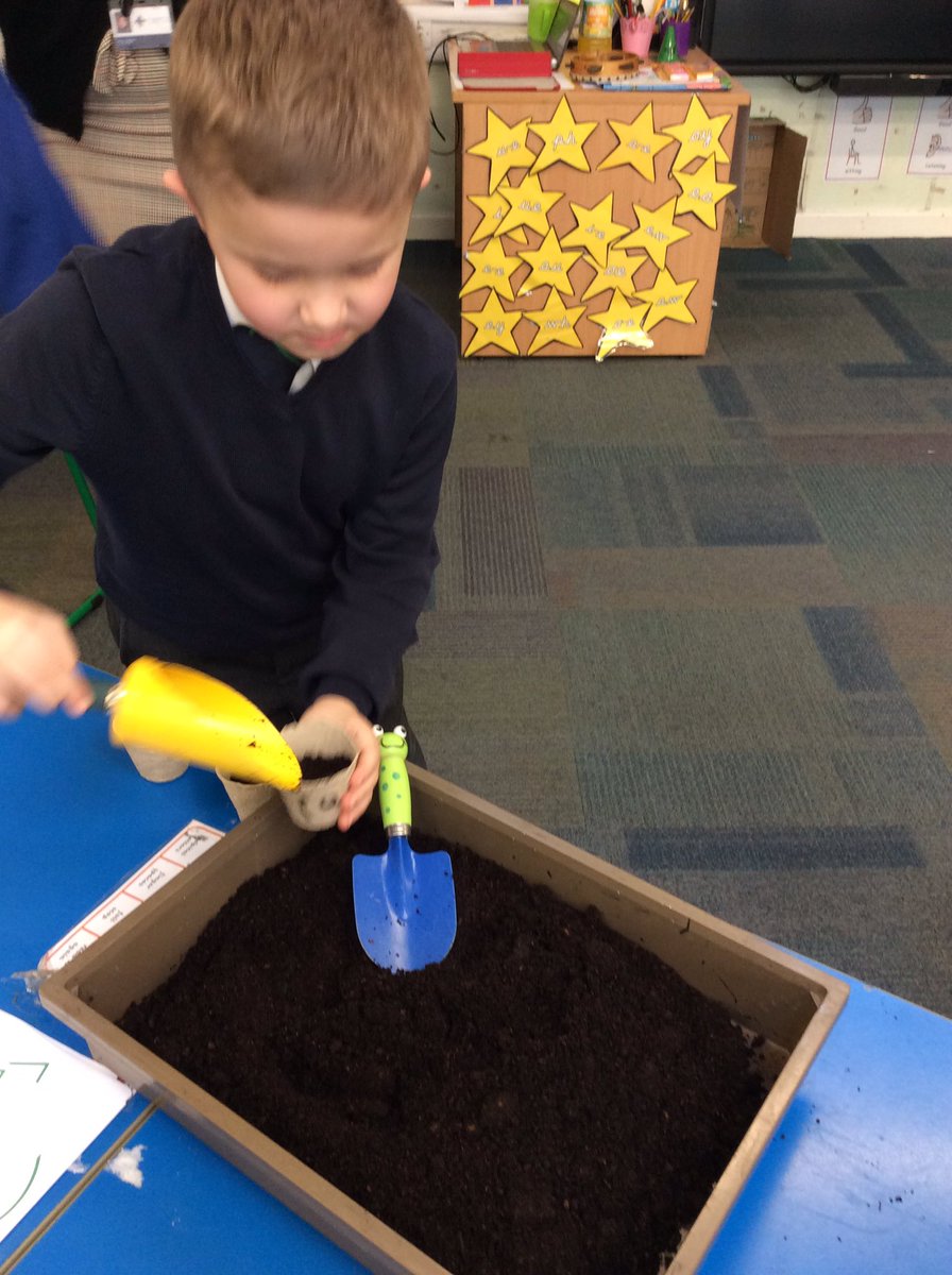 ASALeavers25's tweet photo. Our learning question this week is ‘How does a beanstalk grow?’ So we decided to investigate! We have planted our own beans but are placing our pots around the classroom to see where is the best spot to grow a beanstalk! Ask us what we’ve predicted will happen. 🌱 #ASAScience https://t.co/dcTfNtxp8v