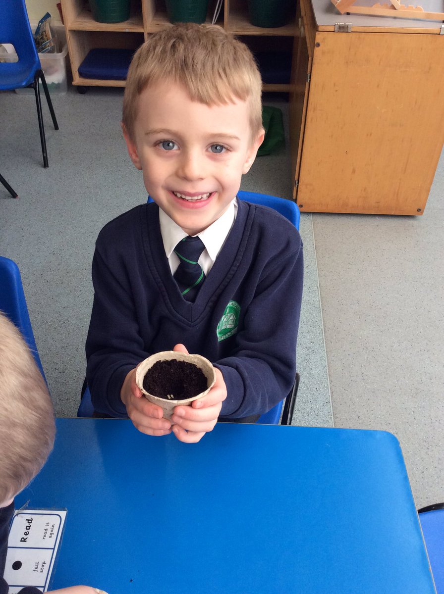 ASALeavers25's tweet photo. Our learning question this week is ‘How does a beanstalk grow?’ So we decided to investigate! We have planted our own beans but are placing our pots around the classroom to see where is the best spot to grow a beanstalk! Ask us what we’ve predicted will happen. 🌱 #ASAScience https://t.co/dcTfNtxp8v