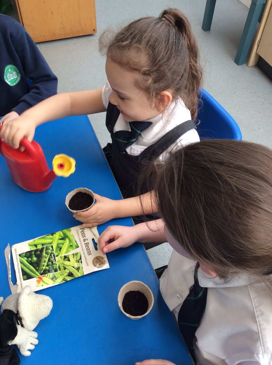 ASALeavers25's tweet photo. Our learning question this week is ‘How does a beanstalk grow?’ So we decided to investigate! We have planted our own beans but are placing our pots around the classroom to see where is the best spot to grow a beanstalk! Ask us what we’ve predicted will happen. 🌱 #ASAScience https://t.co/dcTfNtxp8v