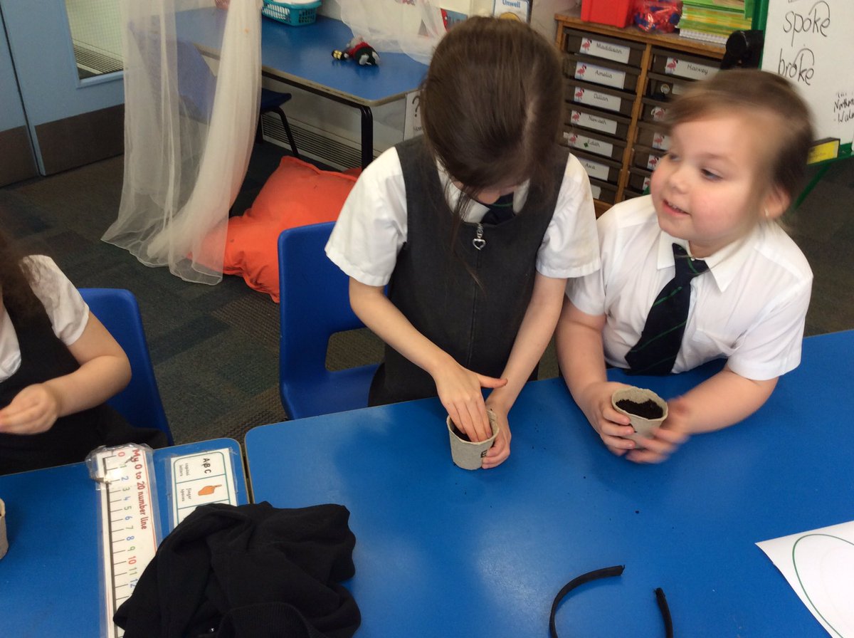 ASALeavers25's tweet photo. Our learning question this week is ‘How does a beanstalk grow?’ So we decided to investigate! We have planted our own beans but are placing our pots around the classroom to see where is the best spot to grow a beanstalk! Ask us what we’ve predicted will happen. 🌱 #ASAScience https://t.co/boAcgqREm4