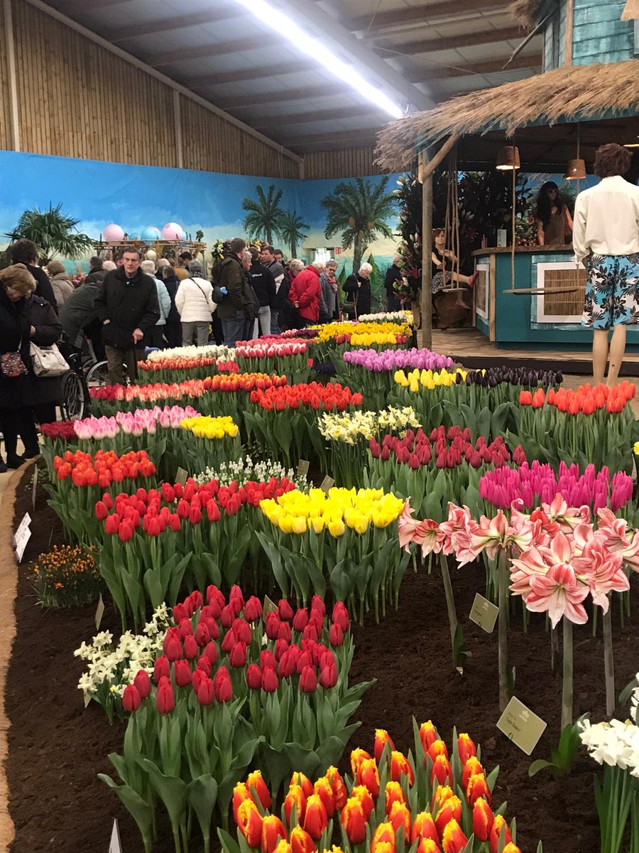 BlueSense_Water's tweet photo. 💦 27 februari t/m 2 maart 2020

Ontmoet #BlueSense tijdens de prachtige #Lentetuin-tentoonstelling en vakbeurs. Wij informeren u graag over #waterdesinfectie om de #bloembollen gezond en virusvrij te houden.
#lentetuin #breezand https://t.co/JixWLmj6pJ
