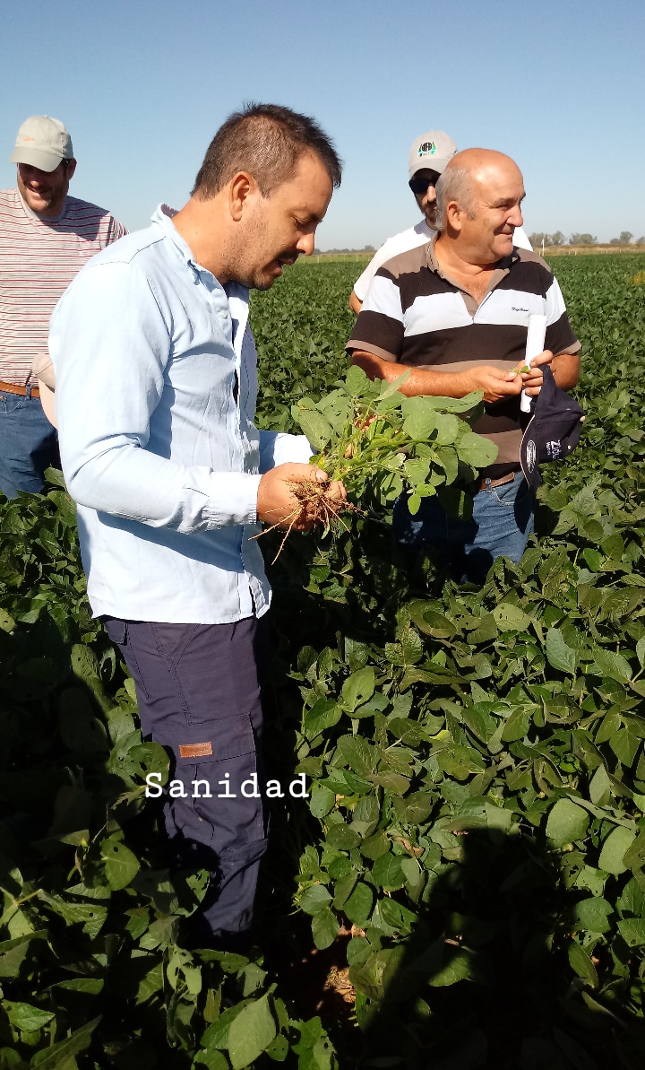 ChialvoEuge's tweet photo. Hoy @INTAMsJuarez @IntaCordoba jornada a campo de #soja #sanidad #controlmalezas #recso #entomologia https://t.co/yN1z5OTPtI