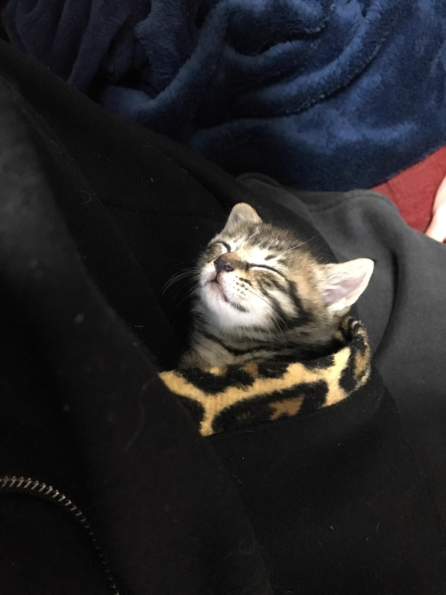 @animalland7 僕はこれで大学通ってました！ 