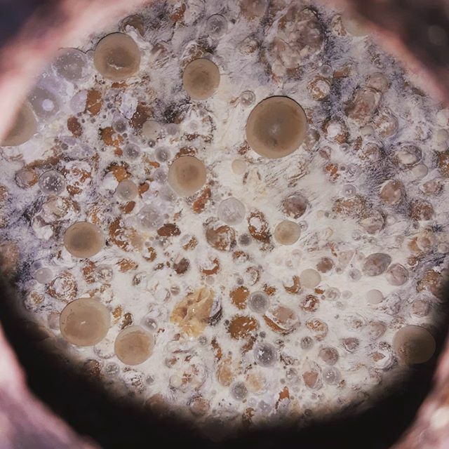 Ca' del Brado tweet media