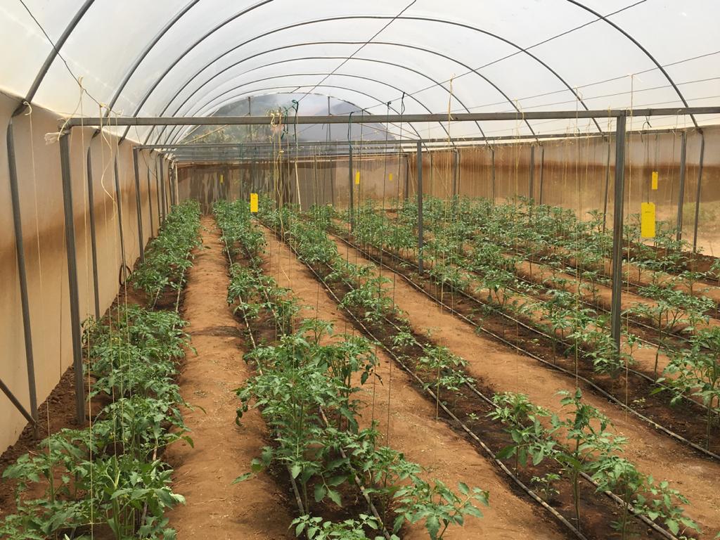 For the third year in a row, vegetable grower Brazander and <a href="/Levarht/">Levarht</a> will travel for <a href="/ChildsLife_NL/">ChildsLife</a> to Kenya. During this trip they are committed to share their common passion for fruit and veggies. Read the whole story: levarht.com/2020/02/26/ken…