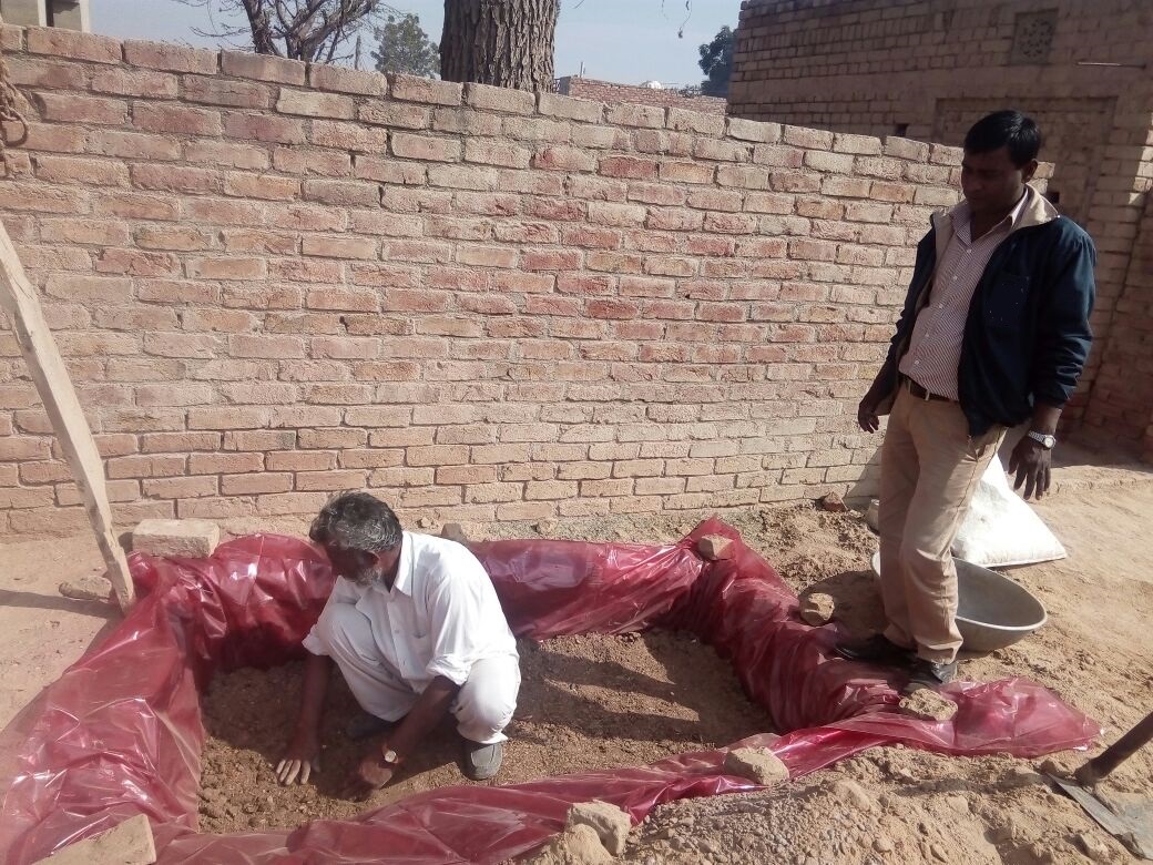 BrookeIndia1's tweet photo. Equine owner Inderaj from Hanumangarh has reaped benefits from BI facilitated training on Azolla cultivation. He is now able to produce nutritious fodder for his equine, as well as increase his income by selling excessive produce.
@TheBrooke 
#Equine #Azollacultivation #Rajasthan https://t.co/NaqNu3rePz