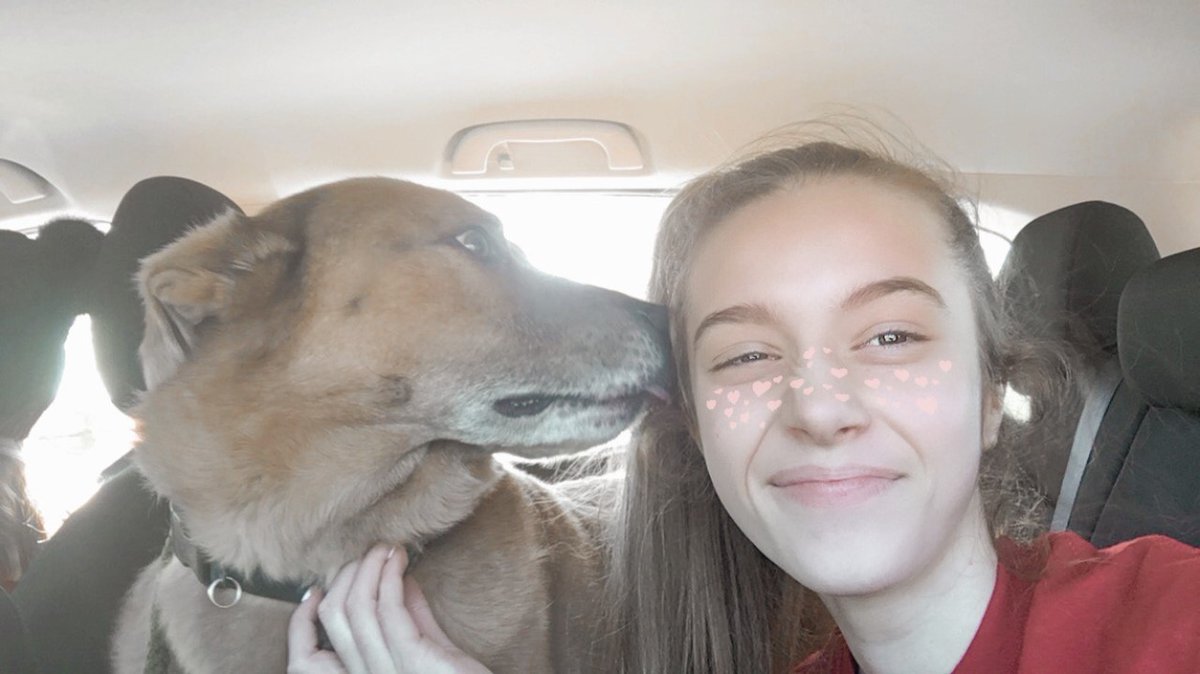 AWLQAC's tweet photo. "We fostered Harley for the day.  What a sweet boy!  We went on a walk on the new portion of the trail by Royal Farms, hung out with us at home and finished the day with a relaxing nap." https://t.co/nCjuWwhlxw