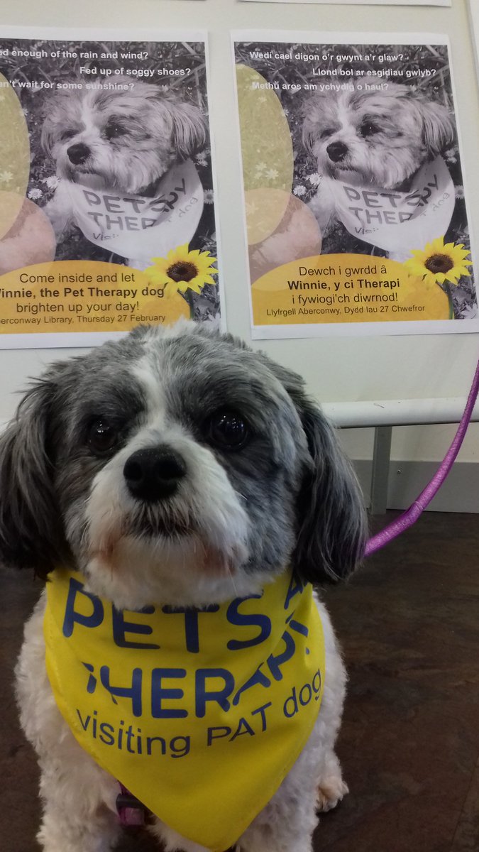 In work today! #petsastherapyuk #volunteer #cardiffbusinessschool #cardiffuni