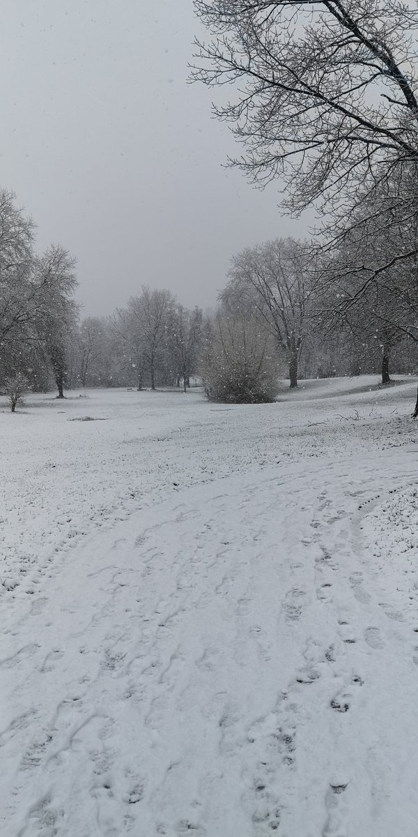 GM | Ga$h tweet media