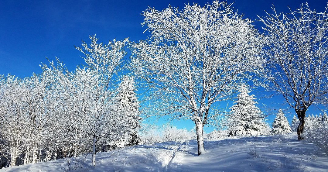 sunsoakerusa's tweet photo. Winter isn't over yet...

https://t.co/L3yS0QivD0
.
#sunsoaker #maketheoutdoorselectric #camping #hiking #backpacking #survival #survivalgear #solar #technology #tech #green #travelling #optoutside #solarpanels #solarenergy #optoutside #outdoorgear https://t.co/NtRMpyqCtH