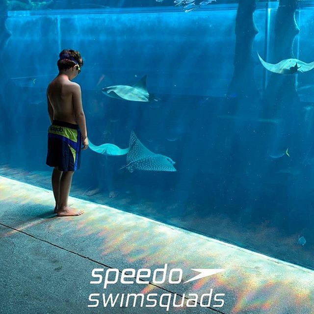 Be One with Water.
▪︎▪︎▪︎▪︎▪︎
Our Speedo Swim Squads BIG DAY OUT at <a href="/atlantisthepalm/">Atlantis The Palm</a> for all our Families, Friends, and Partners is almost 2 months away! instagram.com/p/B9EjoSoJ07w/